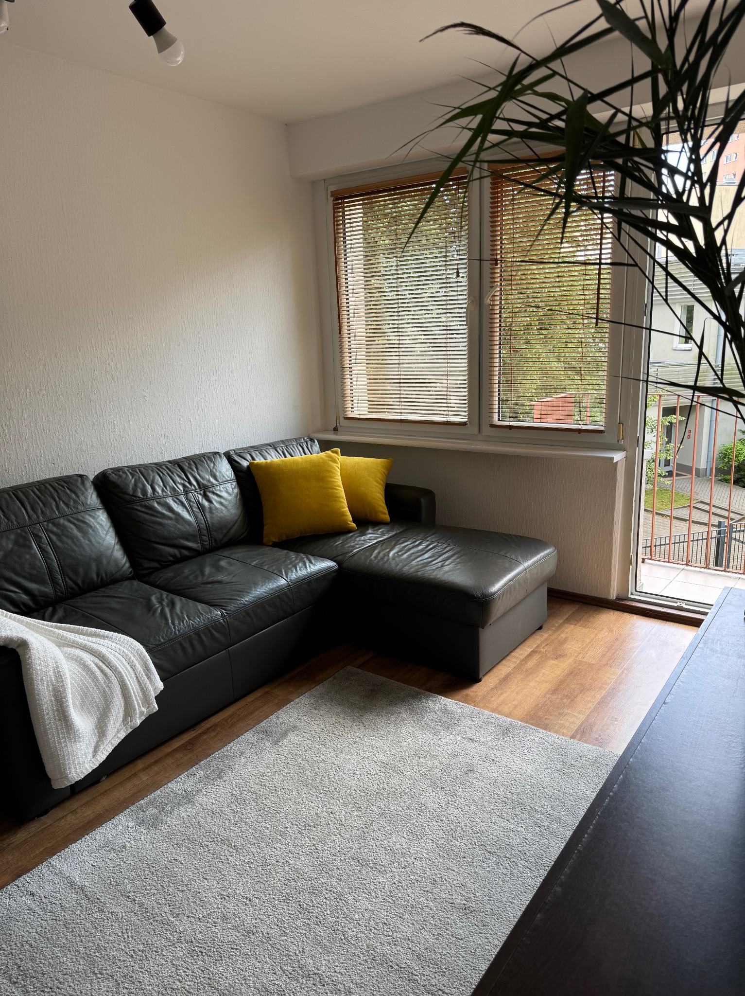 Jasne wnętrze z ciemną skórzaną sofą, żółtymi poduszkami i dywanem. Widok na zewnątrz przez okno z żaluzjami i otwarte drzwi balkonowe.