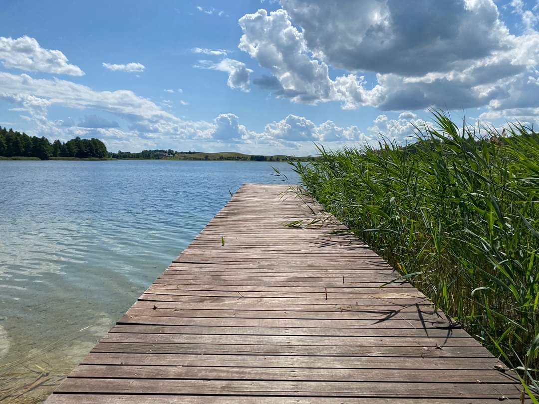 Drewniany pomost nad jeziorem w słoneczny dzień. W tle widoczne drzewa i błękitne niebo z chmurami. Po prawej stronie pomostu rosną wysokie trawy.