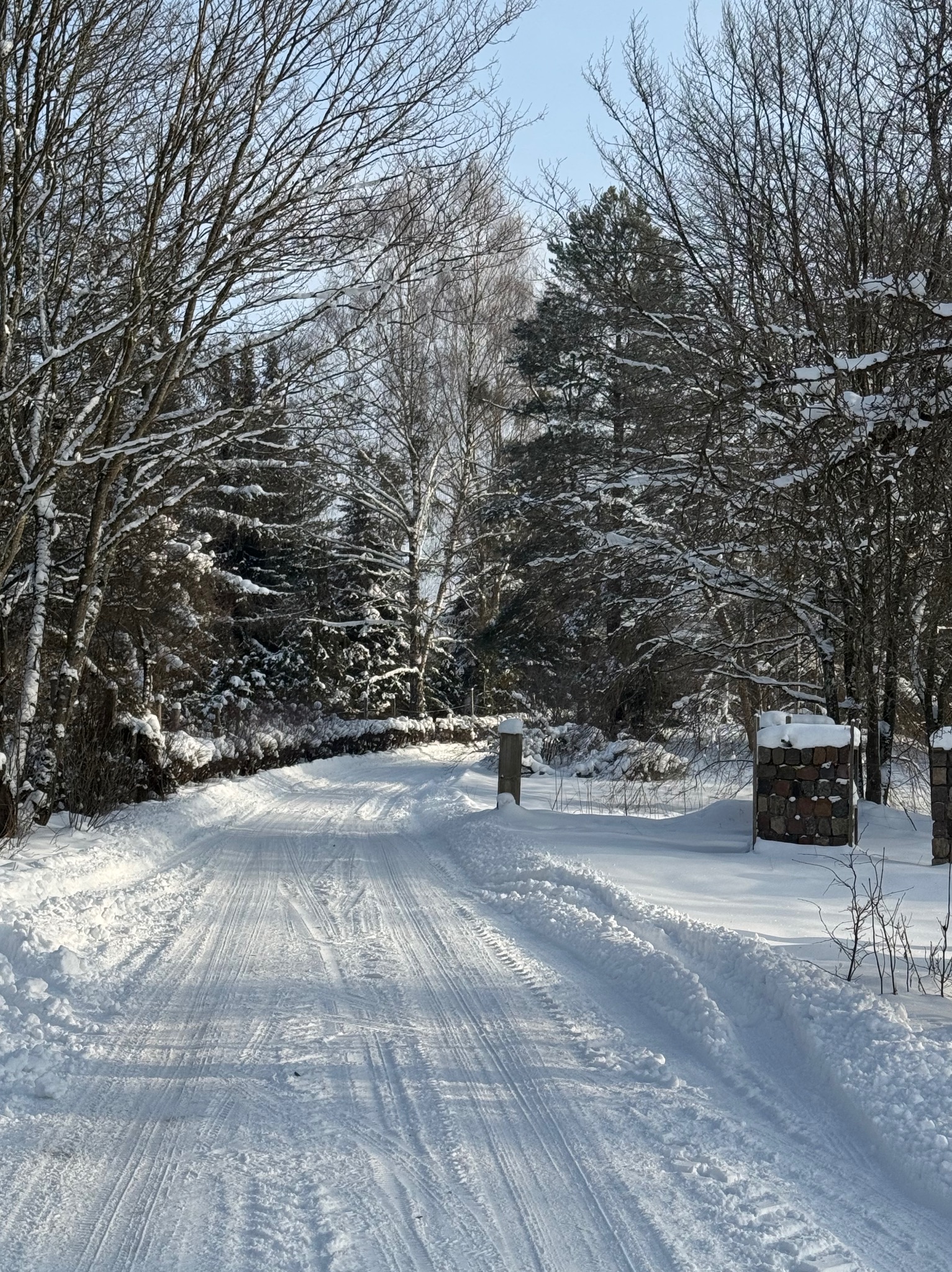 Zimowy krajobraz: zasypana śniegiem droga przez las, z widocznymi śladami opon i kamiennymi słupkami po bokach. Słoneczny dzień, błękitne niebo w tle.