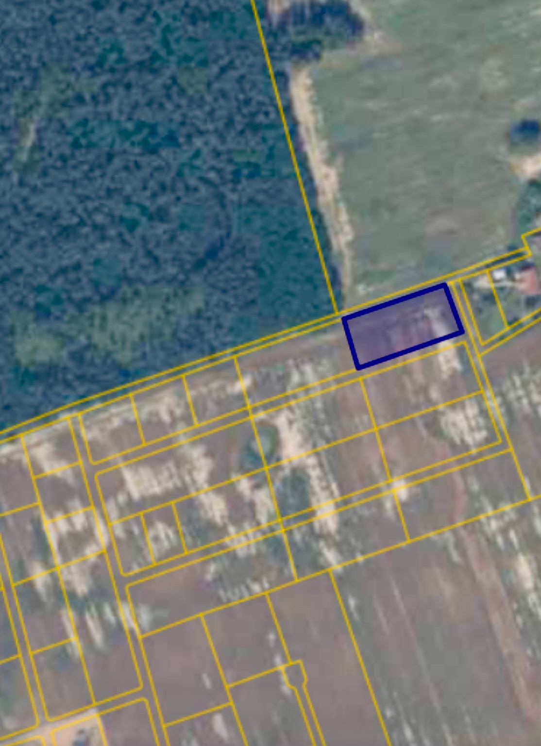 Zdjęcie satelitarne działki z naniesionymi granicami, widok z góry. Działka oznaczona na niebiesko, otoczona polami i lasem. Żółte linie wyznaczają podział geodezyjny.