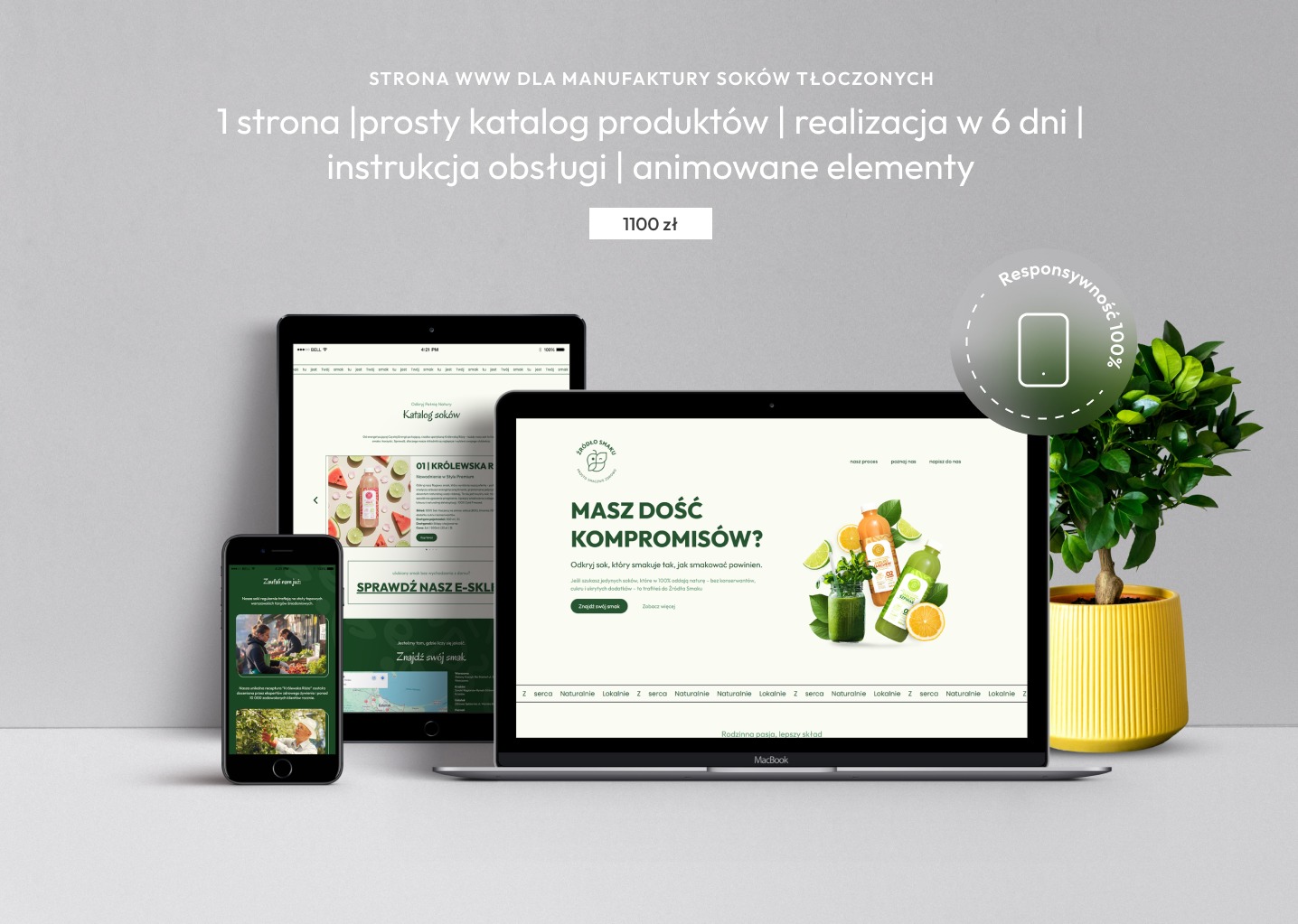 Responsywny landing page dla producenta soków na laptopie, tablecie i smartfonie. Minimalistyczny design, zielona kolorystyka, roślina w żółtej doniczce.