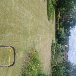 Monika Hnat - Zakładanie trawnik&oacute;w Września