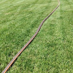 Monika Hnat - Nawodniony trawnik z widocznym wężem ogrodowym, równomiernie rozłożonym na zielonej murawie. W tle żywopłot i zraszacze.