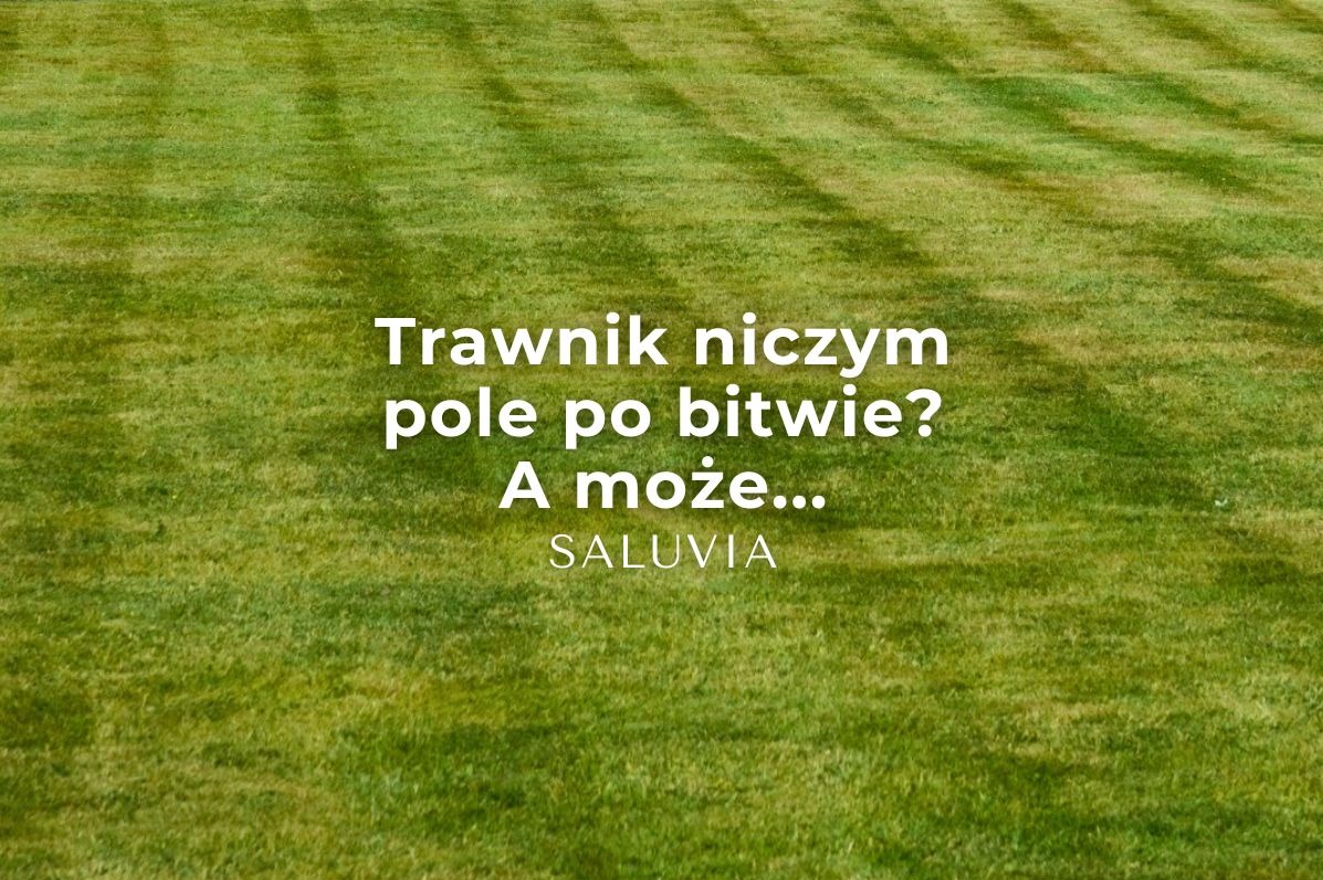 Zielony trawnik z widocznymi pasami po koszeniu, przypominający pole po bitwie, z tekstem reklamowym firmy Saluvia.