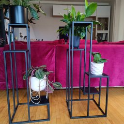RR Desing Garage Maciej Miśkiewicz - Dwie czarne, metalowe konstrukcje schodkowe, służące jako kwietniki, z roślinami w doniczkach na tle fuksjowej sofy i drewnianej podłogi.
