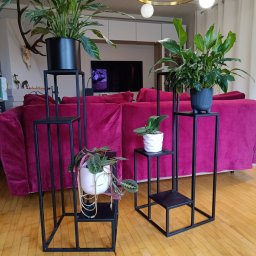 RR Desing Garage Maciej Miśkiewicz - Dwa czarne, metalowe kwietniki wielopoziomowe z roślinami doniczkowymi na drewnianej podłodze. W tle bordowa sofa i dekoracje na ścianie.