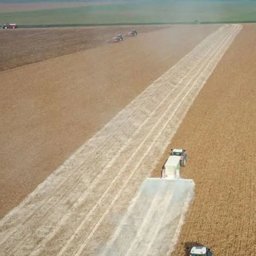 Kopalnia Wapienia Celiny - Naw&oacute;z NPK Chmielnik