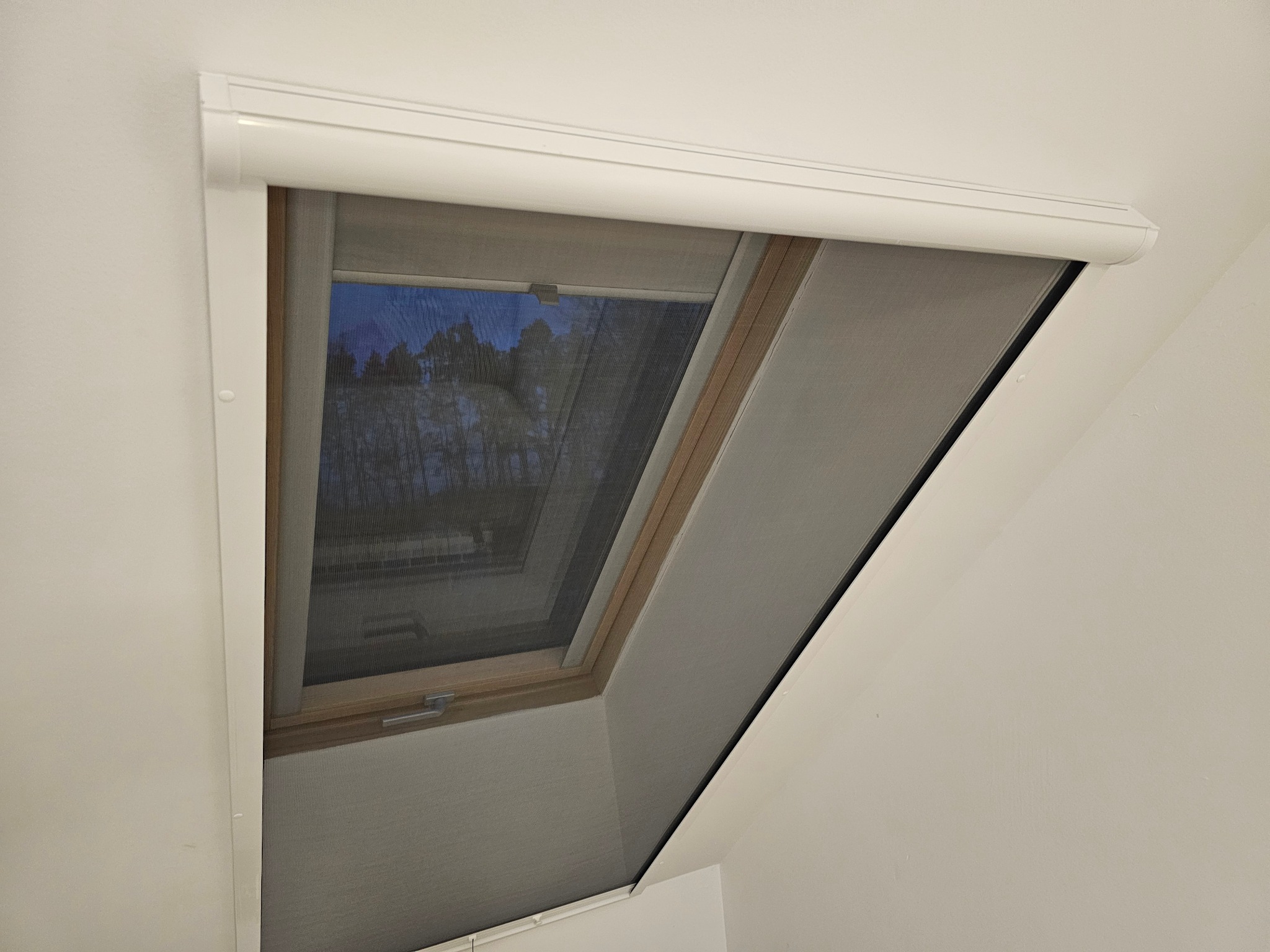 Zamknięta moskitiera rolowana w oknie dachowym, widok od dołu. Biała kaseta i prowadnice, siatka w kolorze szarym. Widok na drzewa za oknem.