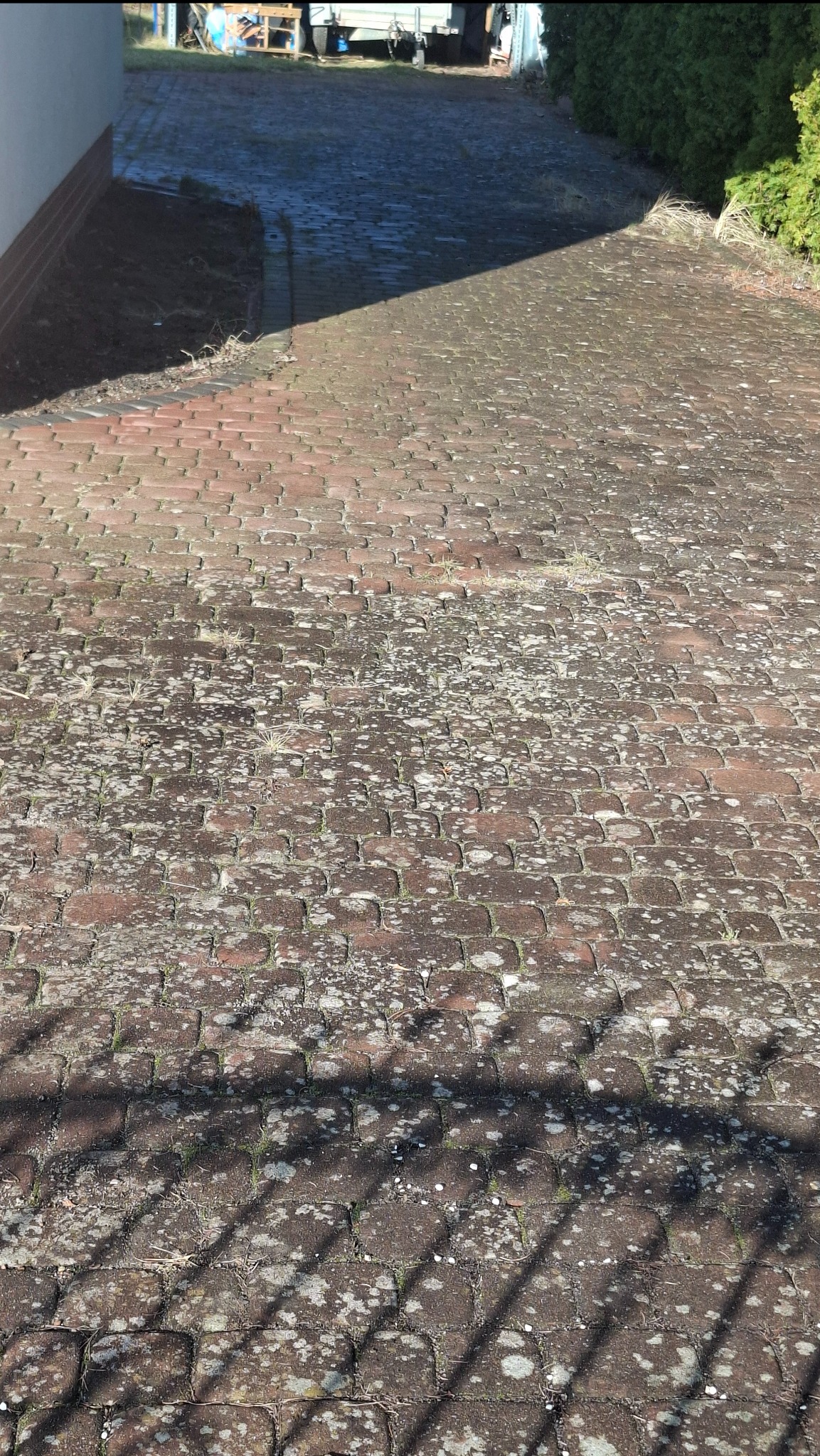 Zaniedbana, czerwona kostka brukowa z mchem i porostami, prowadząca w kierunku zaparkowanej przyczepy. Cień rzucany przez ogrodzenie na pierwszym planie.