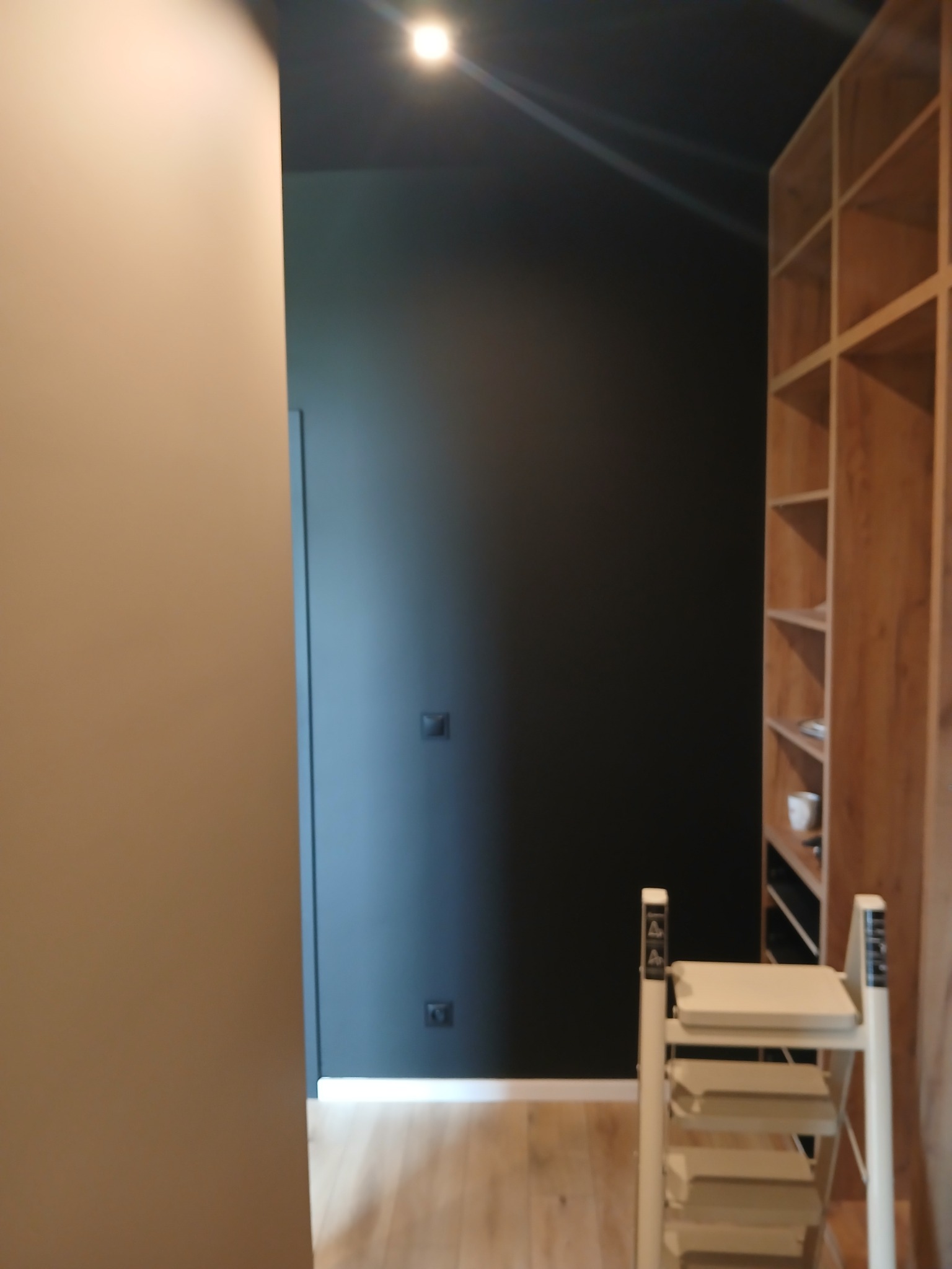 Nowoczesne wnętrze z ciemną ścianą i drewnianym regałem. Widoczna drabina malarska, sugerująca świeżo zakończone prace wykończeniowe. Jasna podłoga i punktowe oświetlenie.