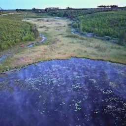 Dron-Rekon - Bory Tucholskie