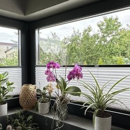 Żaluzje drewniane Świerklany 4