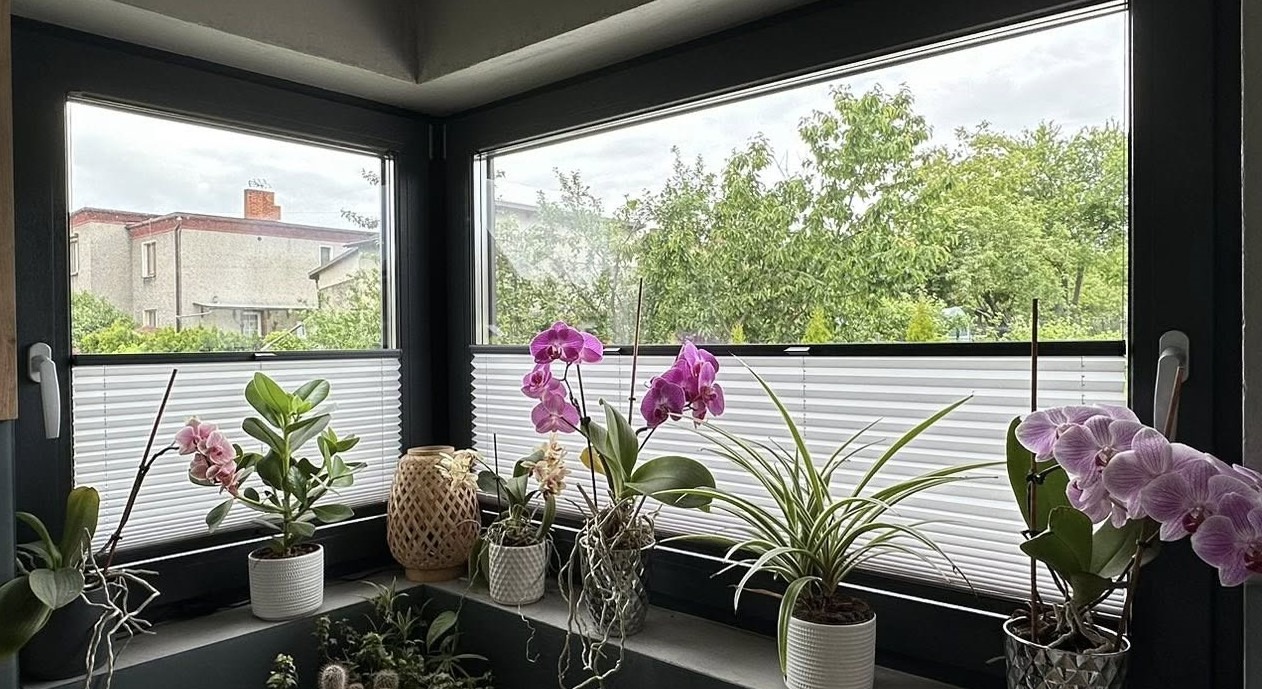 Jasne plisy okienne w szarych ramach, częściowo zasłonięte, z widokiem na zieleń i budynek. Na parapecie różnorodne rośliny doniczkowe, w tym kwitnące orchidee.