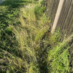 ADmore DAWID DULĘBA - Prace działkowe Skarżysko-Kamienna