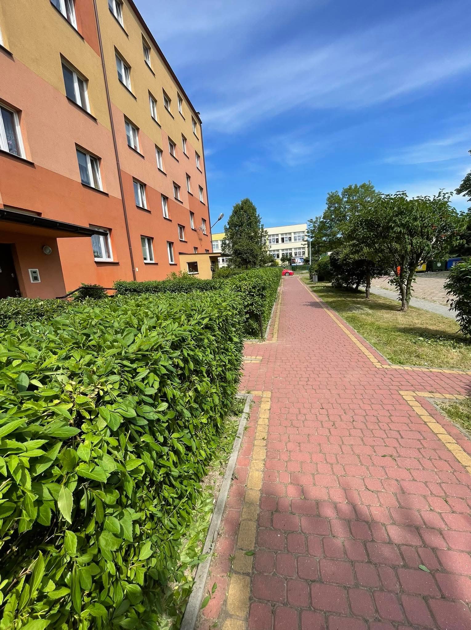 Równy, zielony żywopłot oddziela budynek od czerwonego chodnika z kostki, prowadzącego w stronę budynku szkoły w oddali, pod błękitnym niebem.