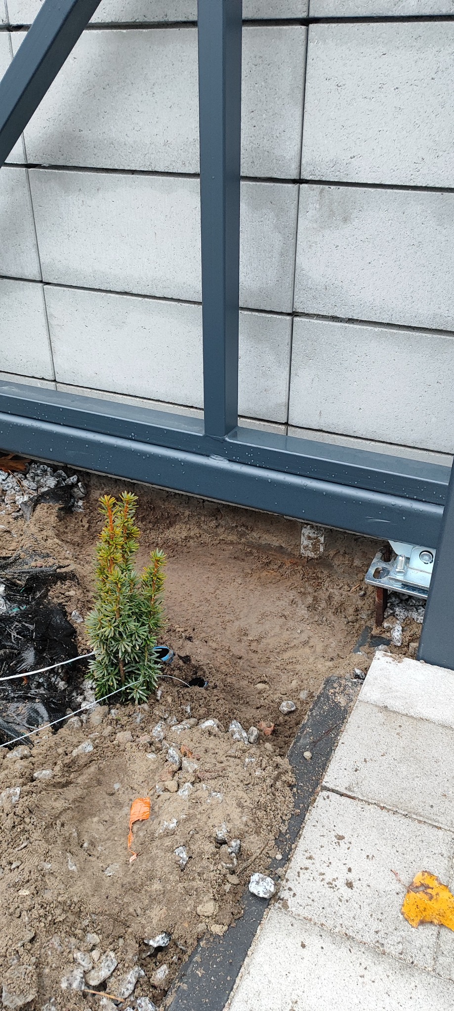 Fragment montażu bramy przesuwnej z widocznym fundamentem, elementami mocującymi i młodą rośliną iglastą. Tło stanowi szary mur z betonowych bloczków.