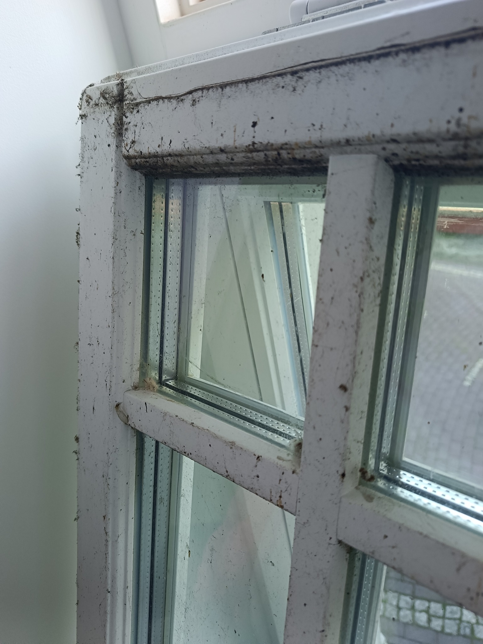 Bardzo brudne, białe okno z widocznymi zabrudzeniami na ramie i szybie. Widok z bliska na narożnik okna, ukazujący nagromadzony kurz i resztki organiczne.