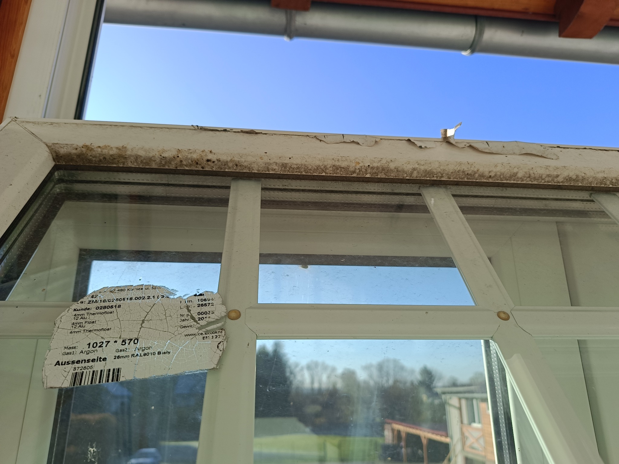 Zabrudzone okno z pleśnią na ramie i odklejającą się farbą. Na szybie naklejka z danymi technicznymi. Widok na zewnątrz przez brudną szybę.
