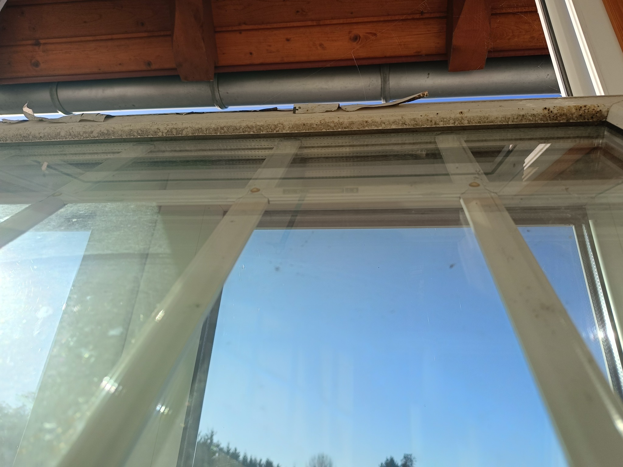 Z bliska: bardzo brudne okno z widocznymi plamami i zabrudzeniami na szybie i ramie, z zewnątrz widoczne zacieki i pajęczyny. W tle błękitne niebo i drzewa.