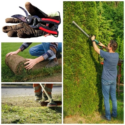 Kompozycja zdjęć: rękawice z sekatorem, rozwijana trawa z rolki, koszenie trawy, przycinanie żywopłotu. Różne etapy prac ogrodniczych w słoneczny dzień.