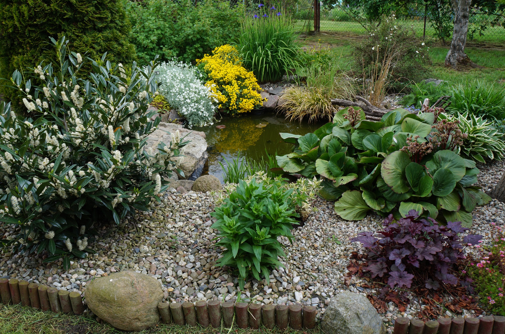 Oczko wodne otoczone kamieniami i różnorodną roślinnością: kwitnące krzewy, trawy ozdobne i byliny. Dekoracyjny ogród z elementami wodnymi i kamiennymi.