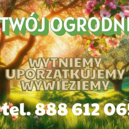 Przycinanie drzew Nysa 2