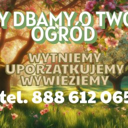 Przycinanie drzew Nysa 1