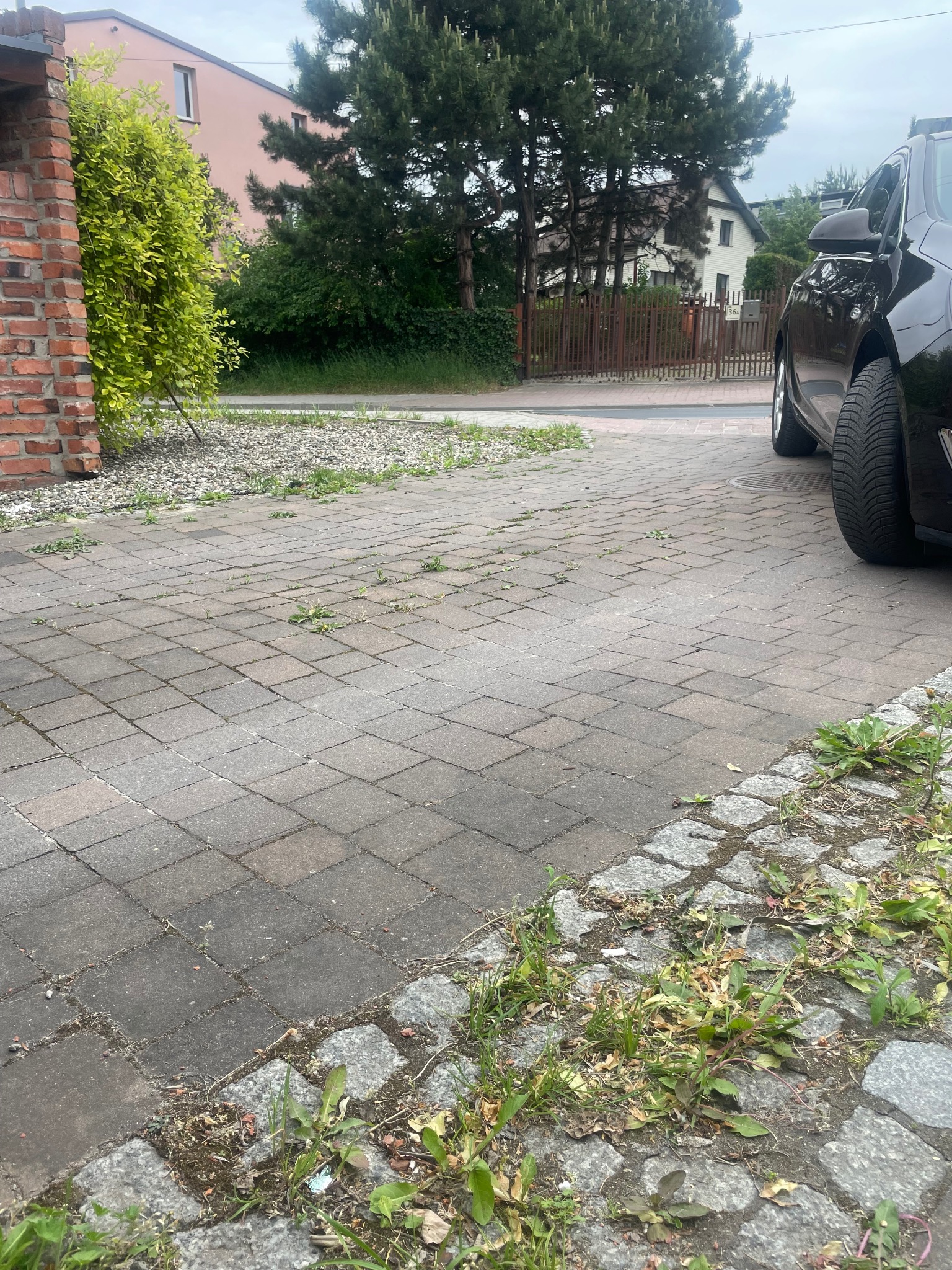 Szara kostka brukowa na podjeździe z widocznymi chwastami, obrzeża z kostki granitowej, fragment samochodu i domu w tle. Ujęcie z poziomu gruntu.