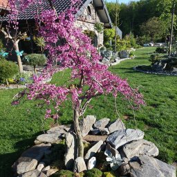 Elżbieta Spyra - Opieka Nad Ogrodami Imielin