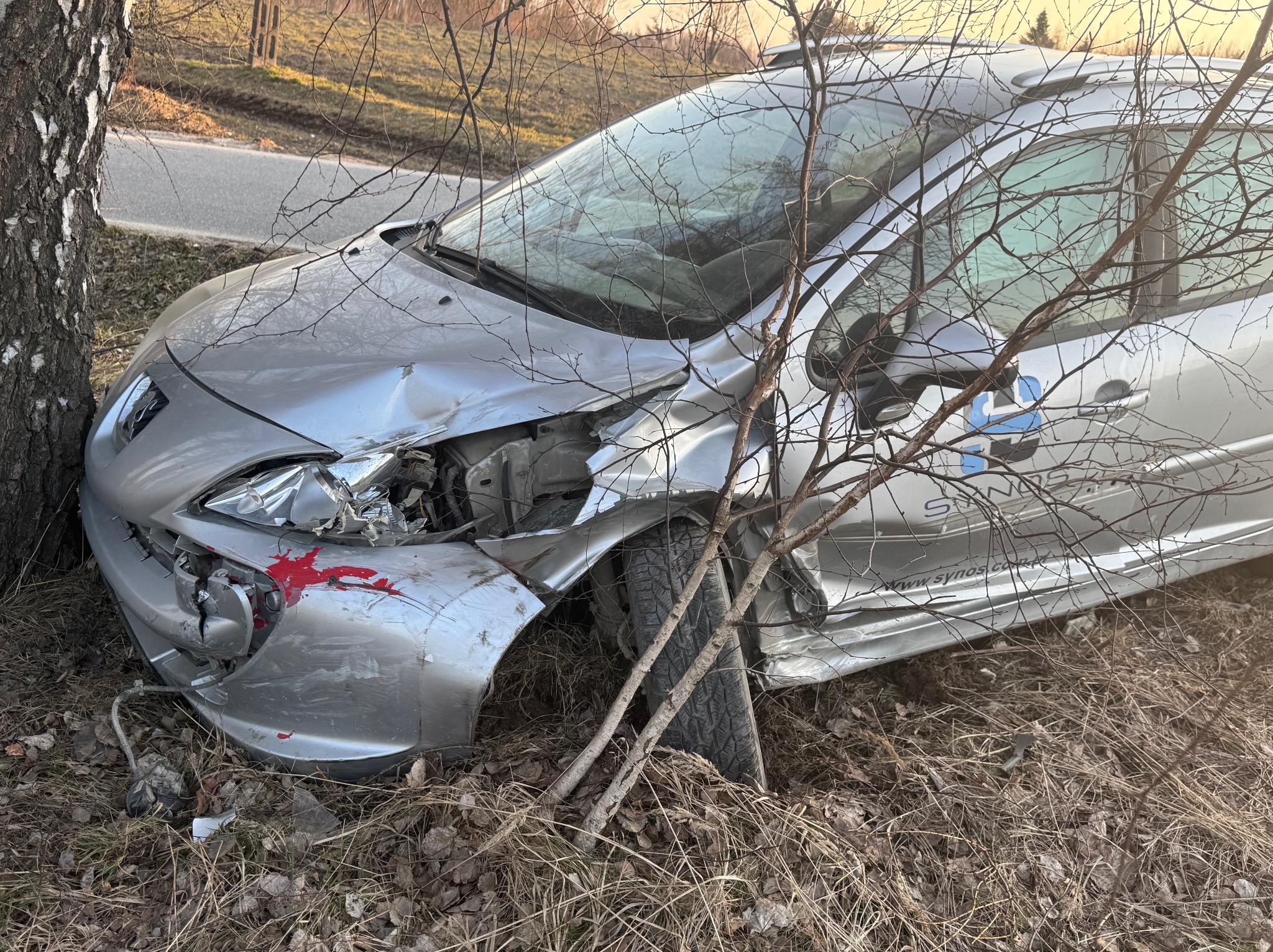 Srebrny samochód osobowy po wypadku, z uszkodzonym przodem, oparty o drzewo. Widoczne uszkodzenia karoserii i pęknięty reflektor. Na karoserii widoczne logo firmy.