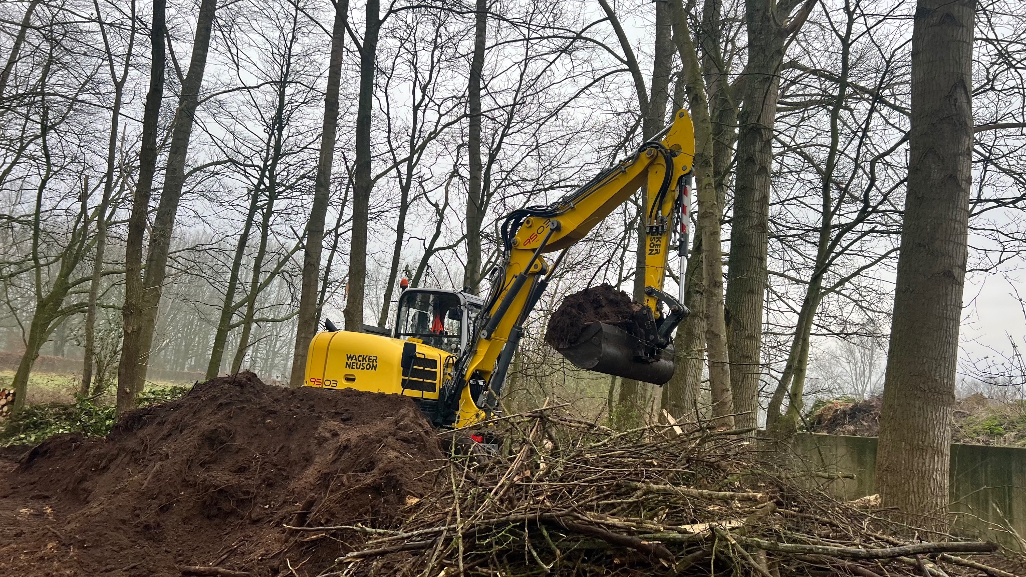 Żółta koparka Wacker Neuson w lesie, nabiera ziemię z wykopu obok sterty gałęzi. Widoczne drzewa bez liści i pochmurne niebo w tle. Praca ziemna w toku.