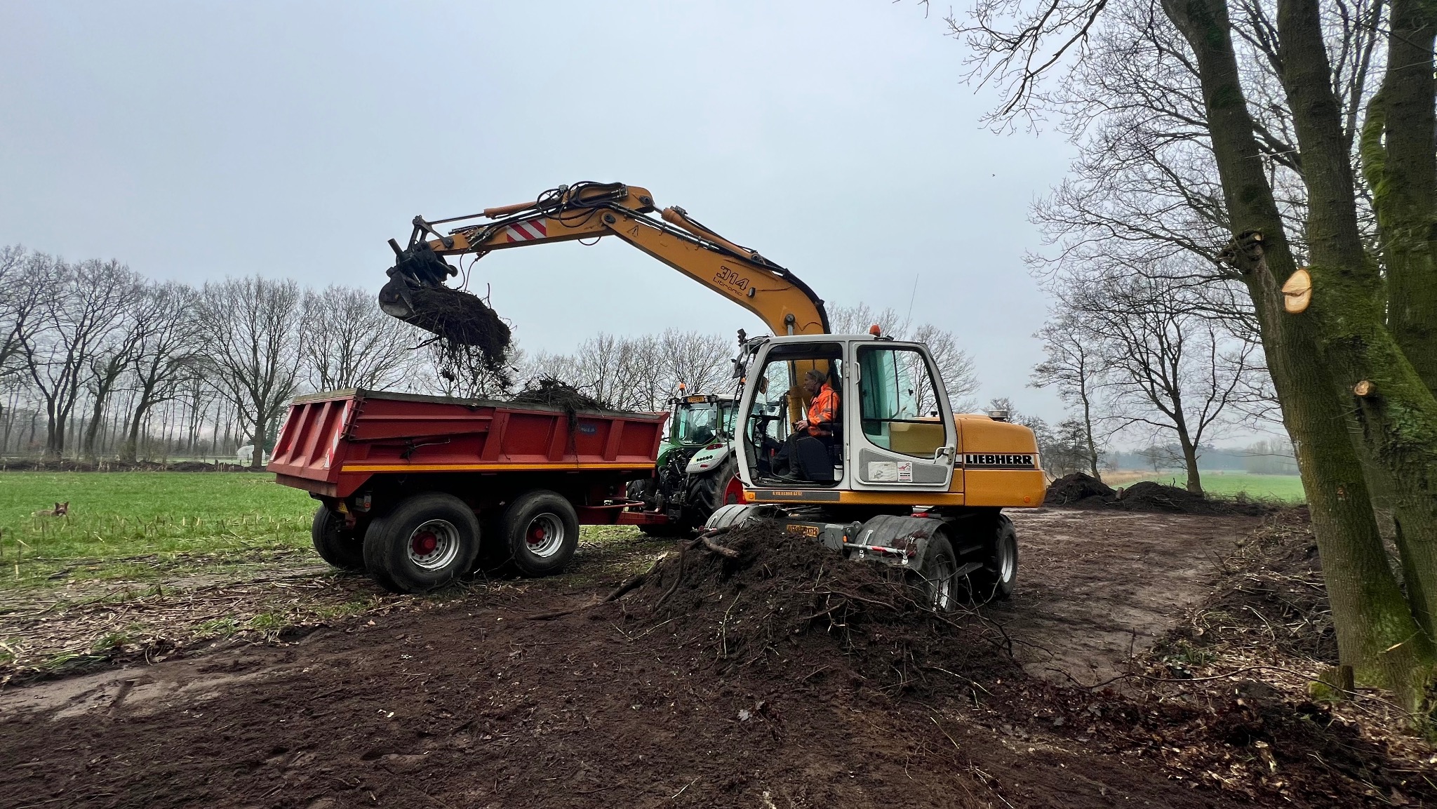 Żółta koparka Liebherr ładuje ziemię z korzeniami do czerwonej przyczepy na tle pola i drzew, widoczny operator w kabinie.