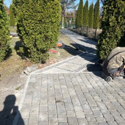 Dominik Hadryś - Układanie szarej kostki brukowej na ścieżce w ogrodzie w Katowicach. Widoczne narzędzia i fragment pracującego brukarza. Tuje w tle.