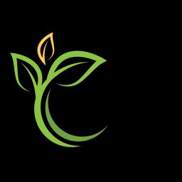 PRACE W ZIELENI SP&Oacute;ŁKA Z OGRANICZONĄ ODPOWIEDZIALNOŚCIĄ - Drenaż Opaskowy Warszawa