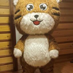 Dmuchańce Proszowice 3