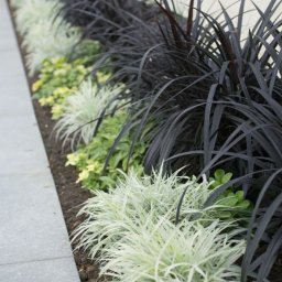 Pielęgnacja ogrodów Gniezno 2