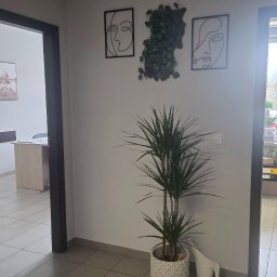 DLF PLACE sp. z o.o. - Jasne biuro z rośliną doniczkową, minimalistycznymi obrazami na ścianie i widokiem na biurko w tle. Czysta podłoga z płytek.