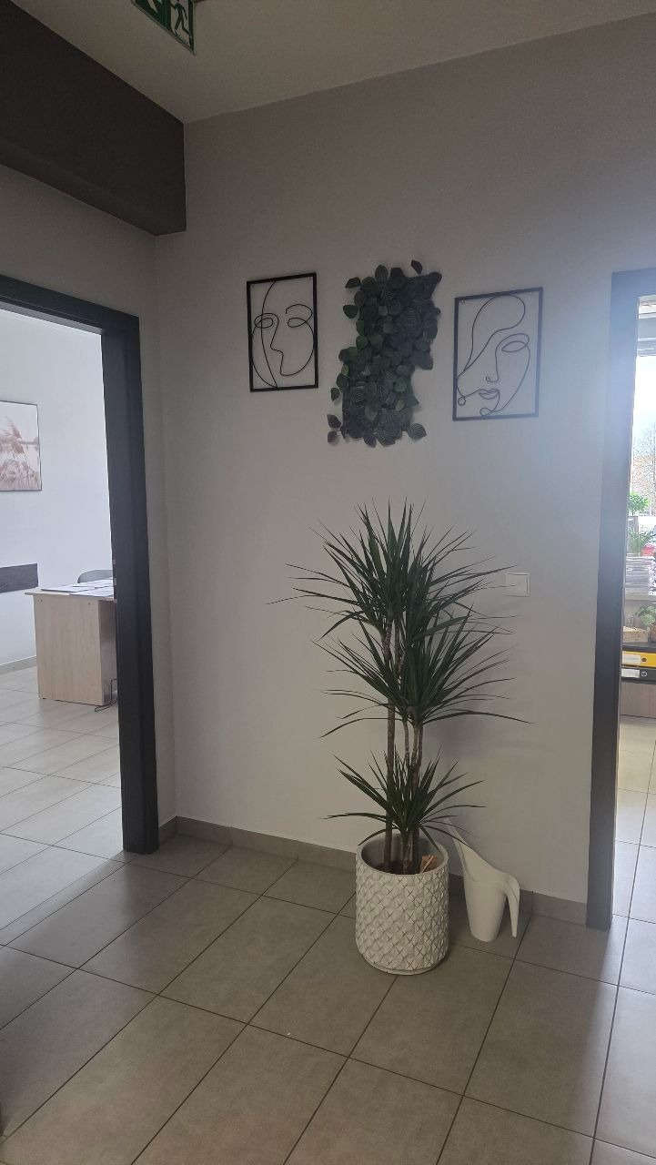 Jasne biuro z rośliną doniczkową, minimalistycznymi obrazami na ścianie i widokiem na biurko w tle. Czysta podłoga z płytek.