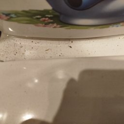 Sprzątanie mieszkań Łódź 1