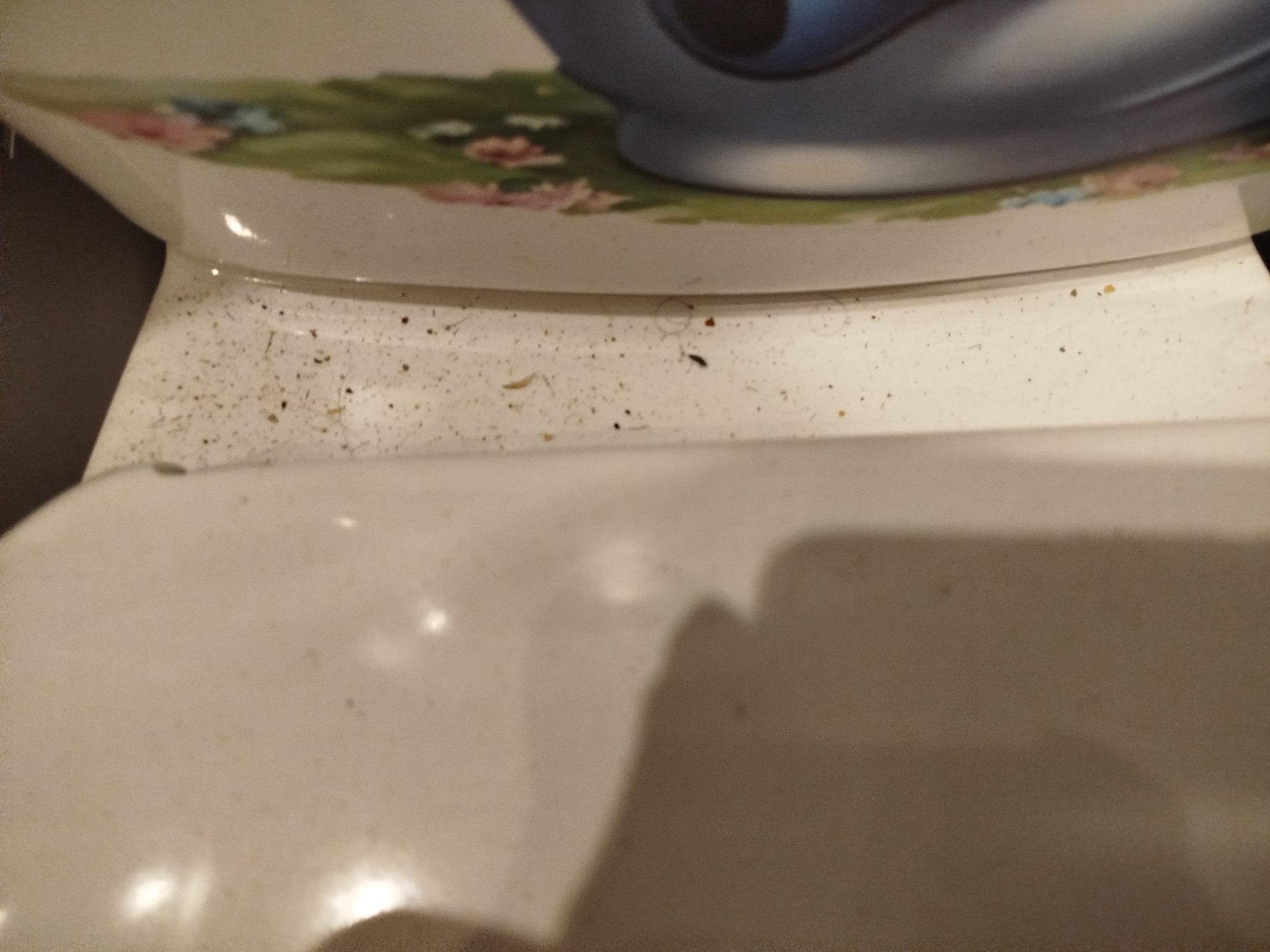 Brudna, biała deska sedesowa z widocznymi drobnymi zanieczyszczeniami i kurzem. Fragment dekorowanej muszli klozetowej w tle. Niska jakość zdjęcia.