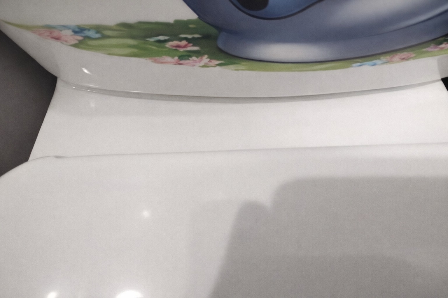 Biała, czysta toaleta z dekoracyjnym motywem kwiatowym na desce, ukazana z bliska. Minimalistyczny design i dbałość o higienę w łazience.