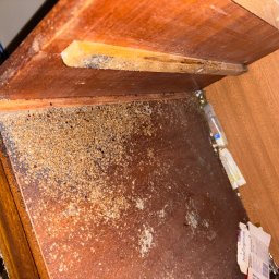 SOS DEZYN-DER 24 - Silne zabrudzenie drewnianej szafki, prawdopodobnie przez szkodniki. Widoczne pozostałości po insektach i uszkodzenia drewna. Niezbędne czyszczenie i dezynsekcja.