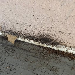 Sprzątanie mieszkań Warszawa 4