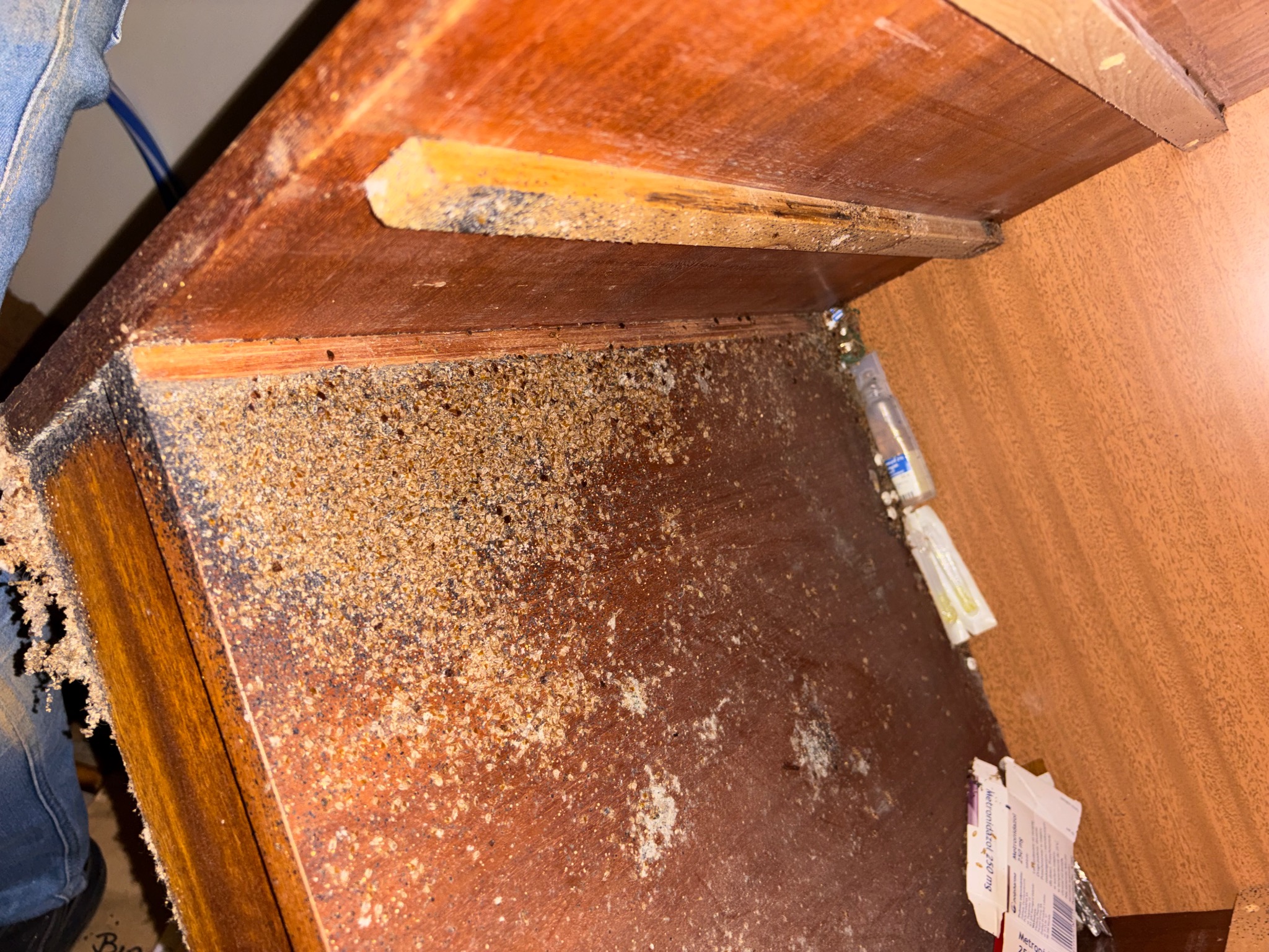 Silne zabrudzenie drewnianej szafki, prawdopodobnie przez szkodniki. Widoczne pozostałości po insektach i uszkodzenia drewna. Niezbędne czyszczenie i dezynsekcja.