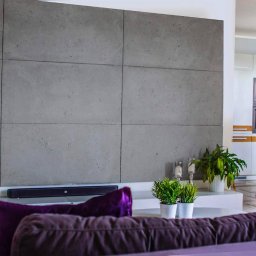 Duo Serwis - Nowoczesny salon z szarą ścianą wykończoną betonowymi panelami, minimalistycznym oświetleniem i elementami dekoracyjnymi. Widok na otwartą kuchnię w tle.