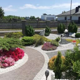 Brun-Ogród Bruno Wojciechowski - Ogród z krzewami, kamieniami i ścieżką z kostki brukowej. Widoczne różowe azalie, tuje i ozdobne kamienie. W tle dom z ciemną dachówką i ogrodzenie.