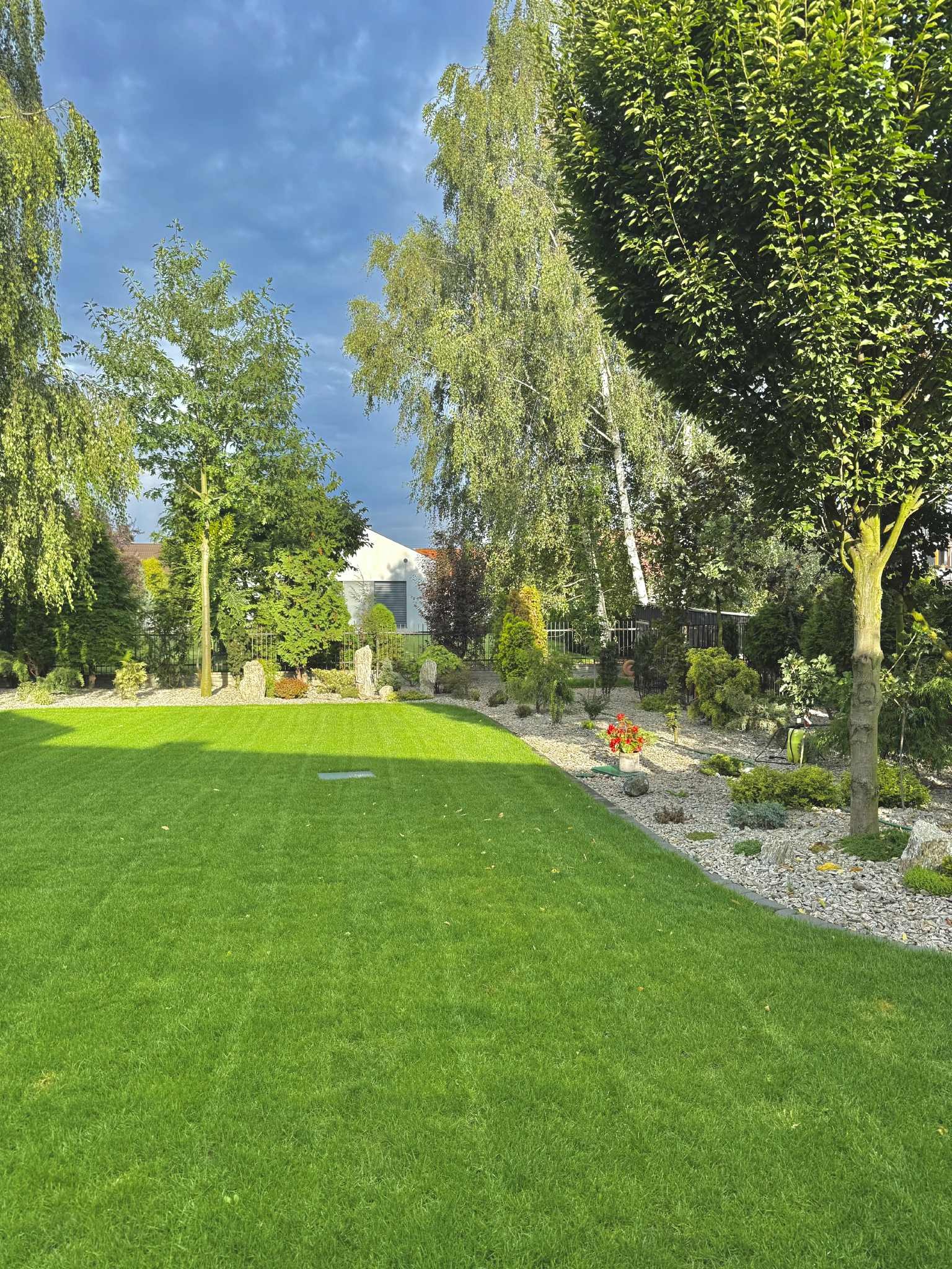 Zadbany trawnik z równo przystrzyżoną trawą, otoczony ozdobnymi drzewami i krzewami. W tle widoczny nowoczesny dom z szarymi elementami. Słoneczny dzień.
