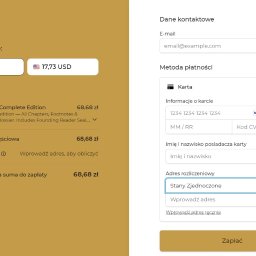 DRIVE GLOBAL Daniel Ryrych - Wielowalutowy system płatności.