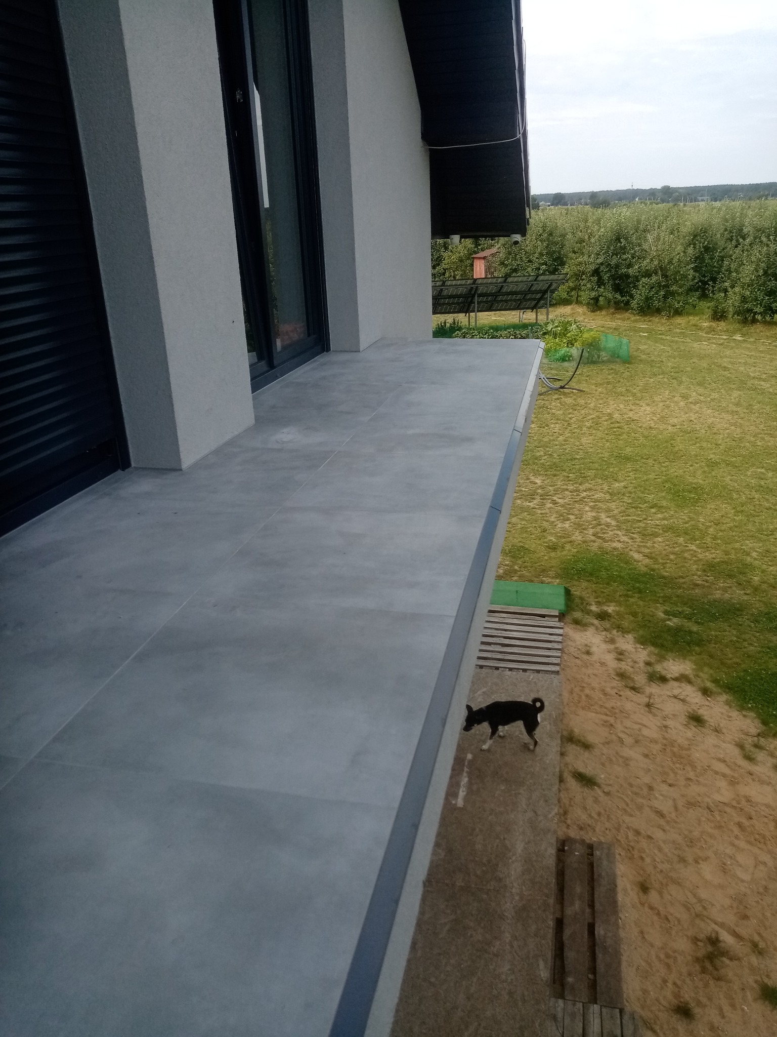 Szare płytki na balkonie nowoczesnego domu z widokiem na zieleń. Mały czarny pies stoi na krawędzi balkonu. Widoczne panele słoneczne w oddali.