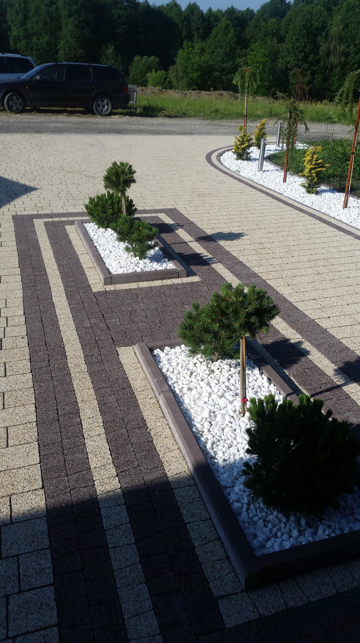 Oryginalny wzór z kostki brukowej w dwóch odcieniach, z wkomponowanymi rabatami z białym kamieniem i niskimi iglakami. Widoczny fragment podjazdu i zieleń w tle.